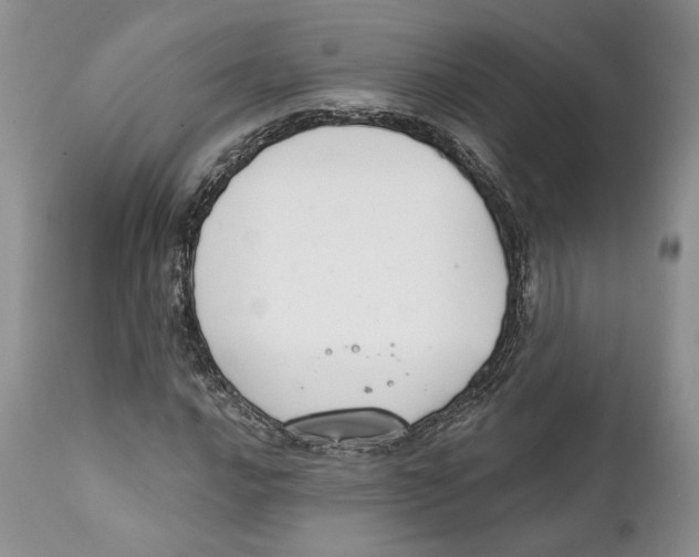 X0000111891016200908201316