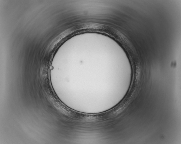 X0000111891017200908201316