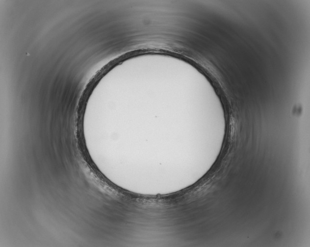 X0000111891020200908201316