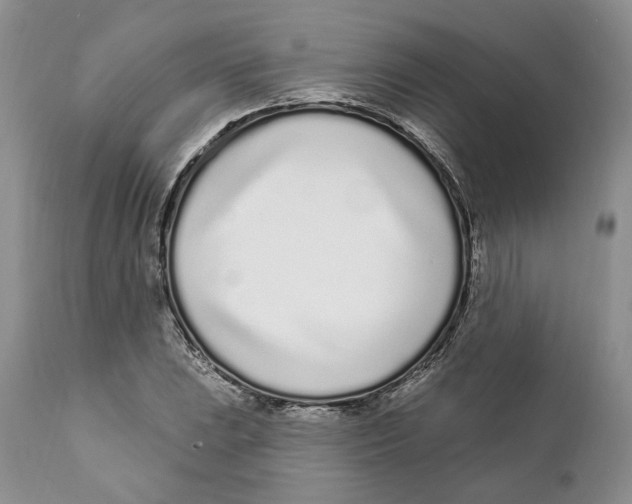 X0000111891023200908201316