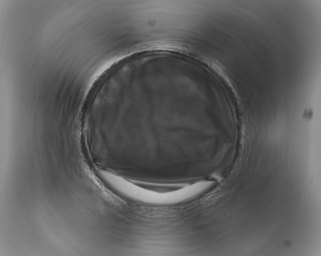 X0000111891024200908201316