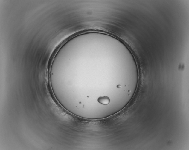 X0000111891028200908201316