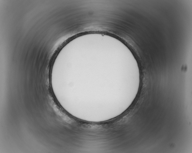 X0000111891030200908201316