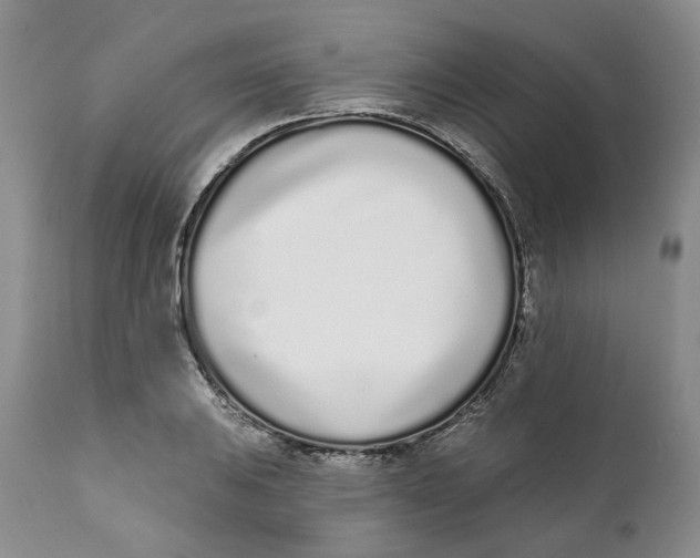 X0000111891031200908201316