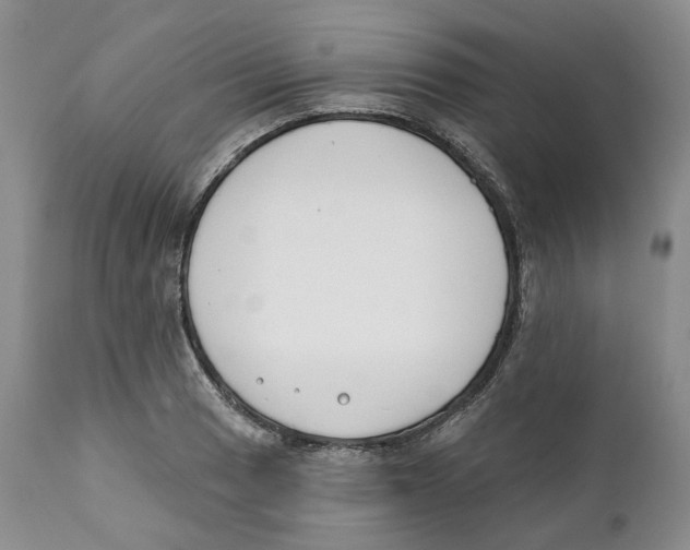 X0000111891033200908201316