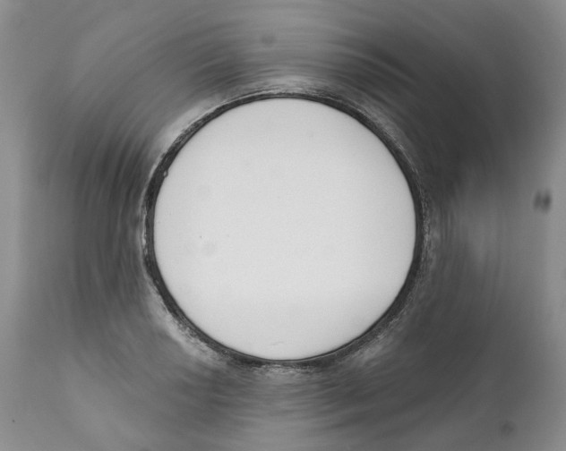 X0000111891034200908201316