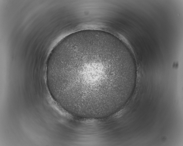 X0000111891035200908201316