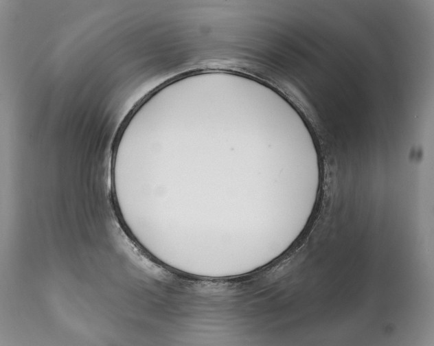 X0000111891036200908201316