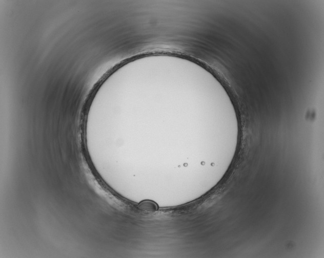 X0000111891038200908201316