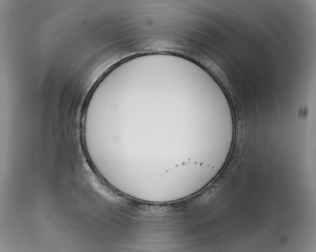 X0000111891039200908201316