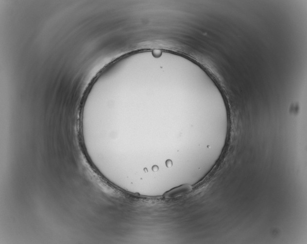 X0000111891040200908201316