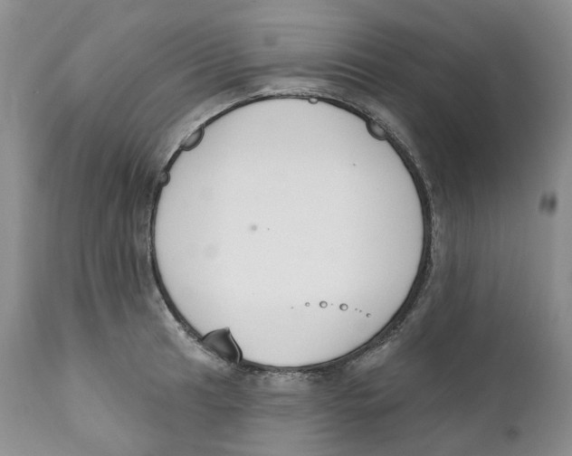 X0000111891041200908201316