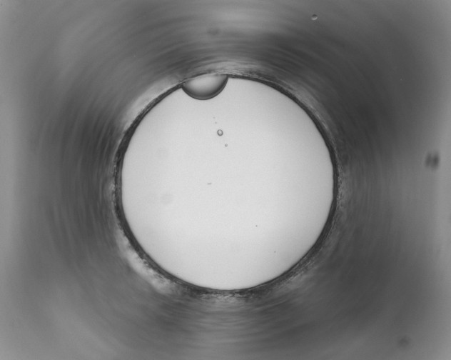 X0000111891042200908201316