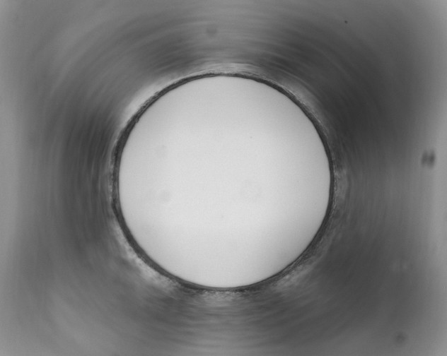 X0000111891046200908201316