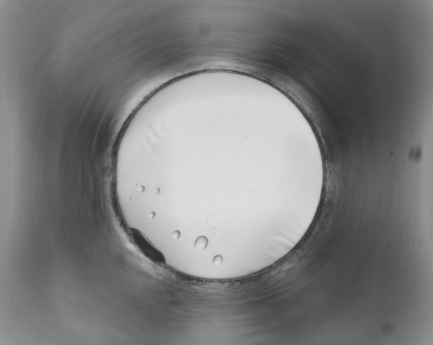 X0000111891048200908201316