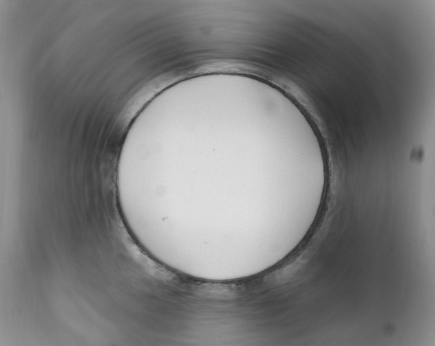 X0000111891049200908201316