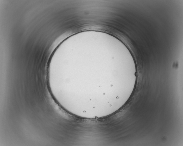 X0000111891050200908201316