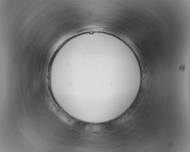 X0000111891051200908201316