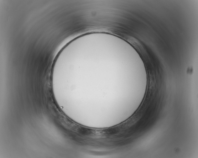 X0000111891052200908201316