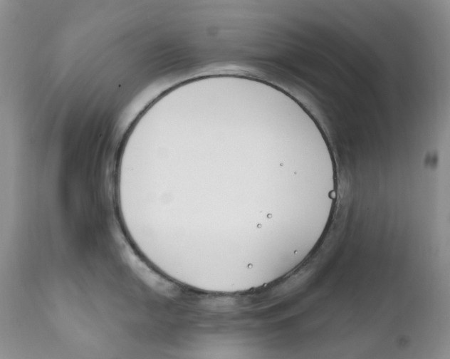 X0000111891054200908201316