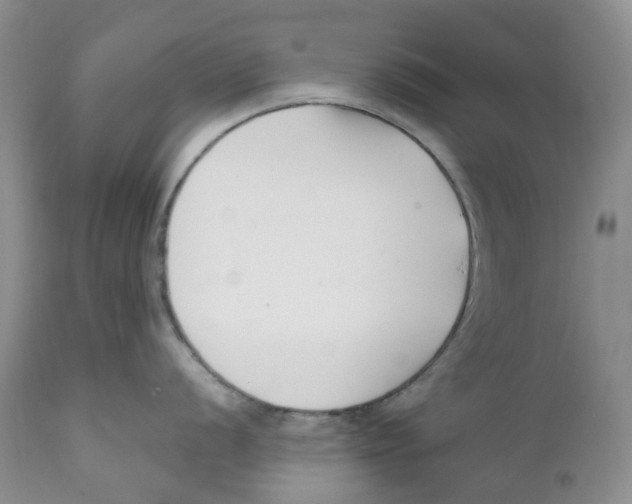 X0000111891056200908201316