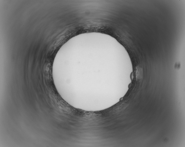 X0000111891059200908201316