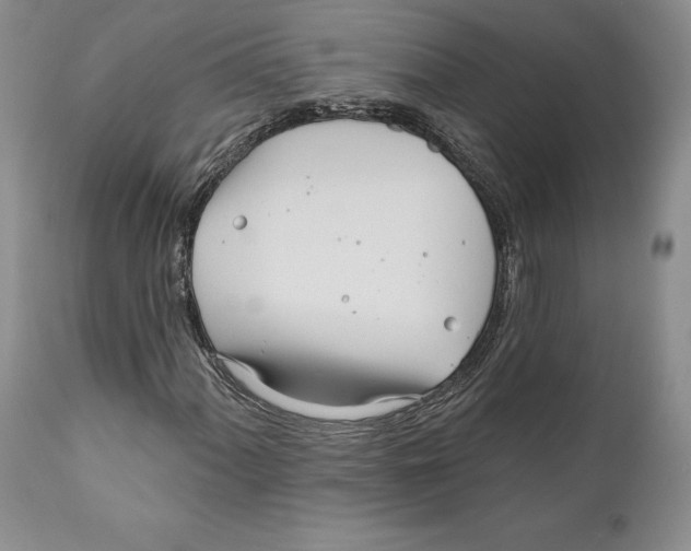 X0000111891060200908201316