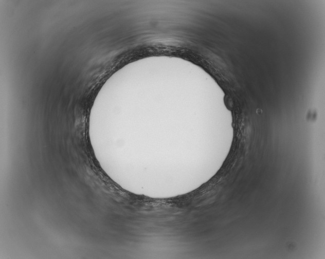 X0000111891061200908201316