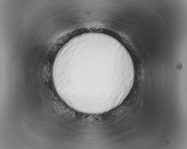 X0000111891063200908201316