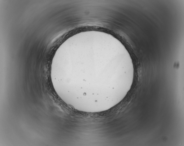 X0000111891064200908201316