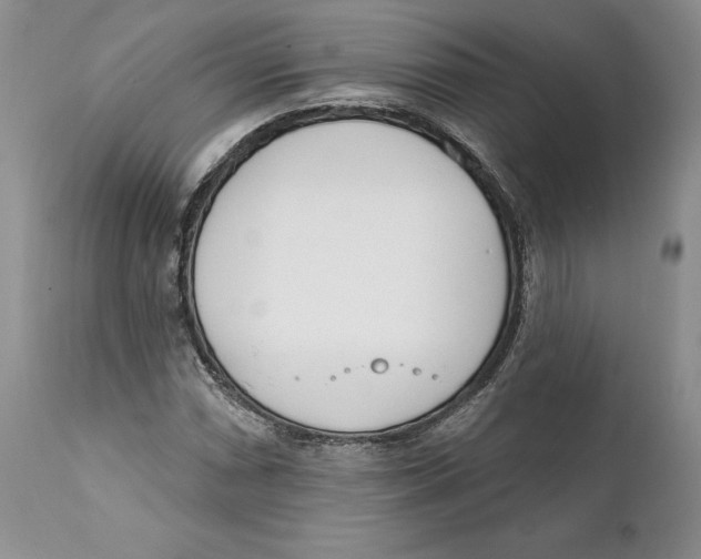 X0000111891066200908201316