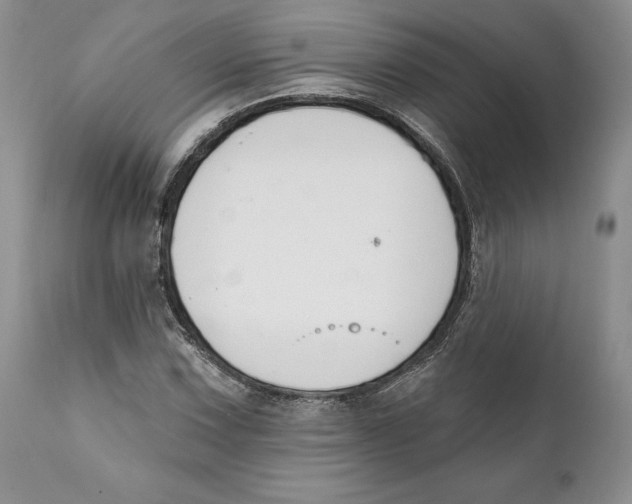 X0000111891067200908201316