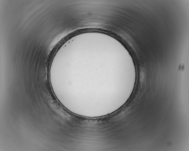 X0000111891069200908201316