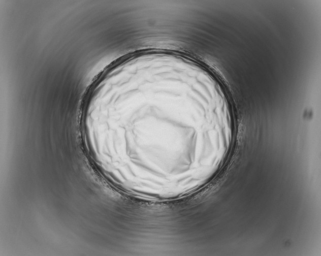 X0000111891071200908201316