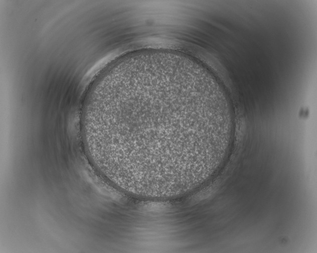 X0000111891074200908201316