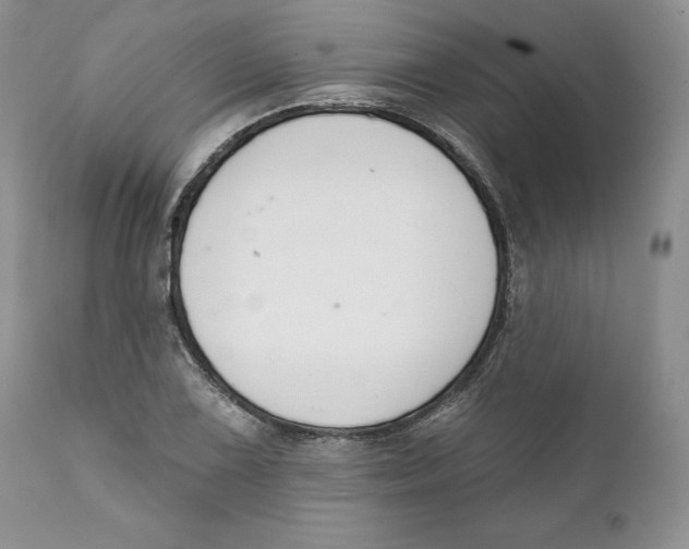 X0000111891075200908201316