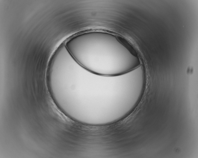 X0000111891076200908201316