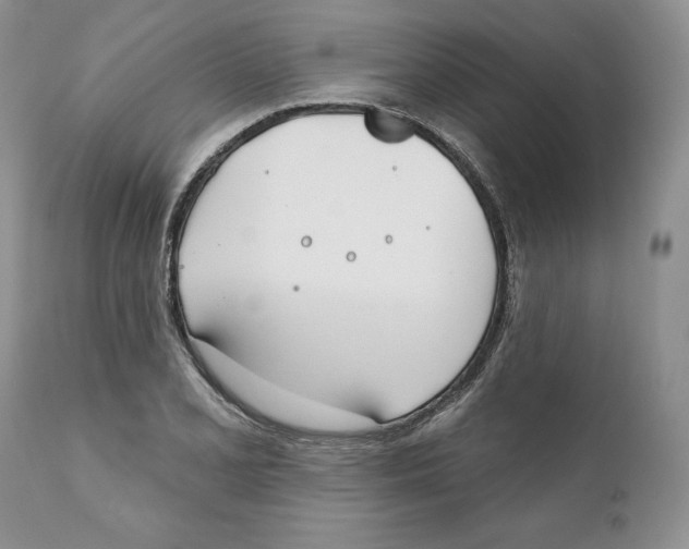 X0000111891077200908201316