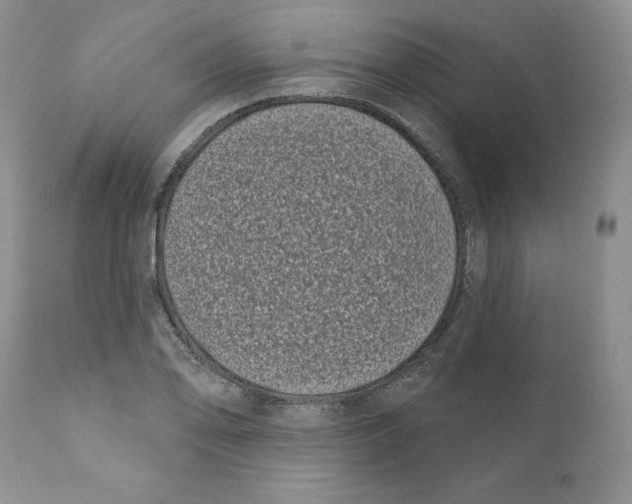 X0000111891078200908201316