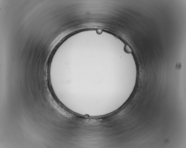 X0000111891082200908201315