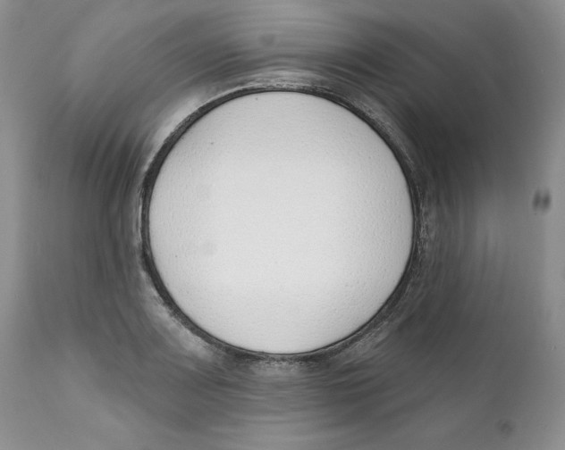 X0000111891083200908201315