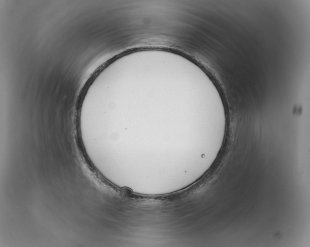 X0000111891085200908201315