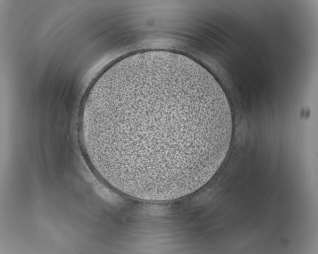 X0000111891086200908201315