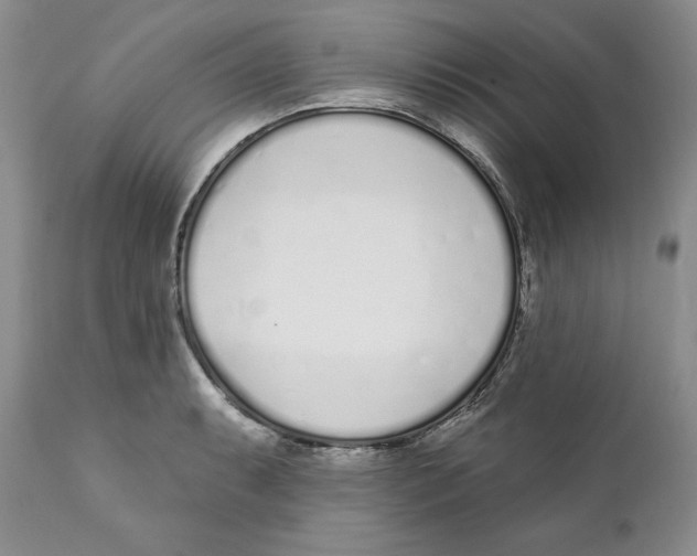 X0000111891087200908201315