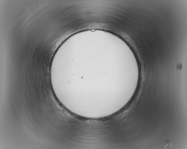 X0000111891089200908201315