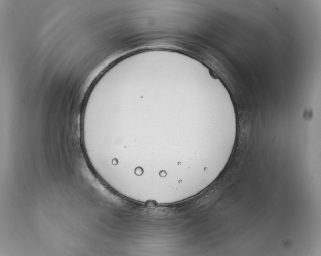 X0000111891092200908201315