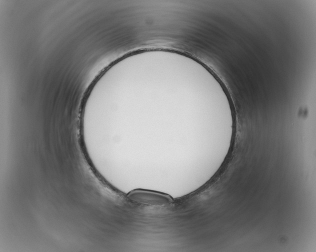 X0000111891093200908201315