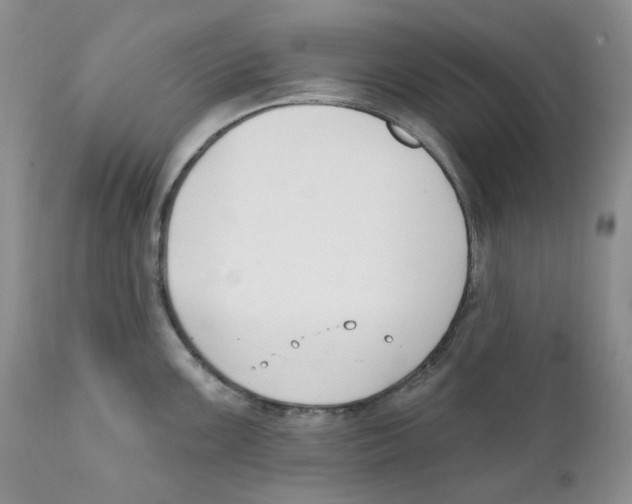 X0000111891099200908201315