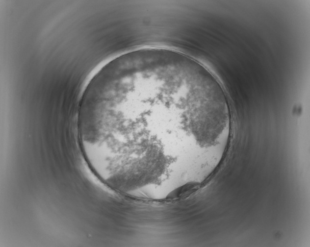 X0000111891100200908201315