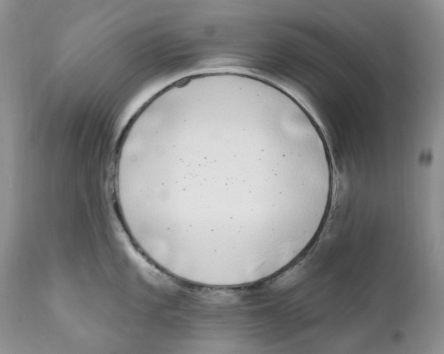 X0000111891101200908201315